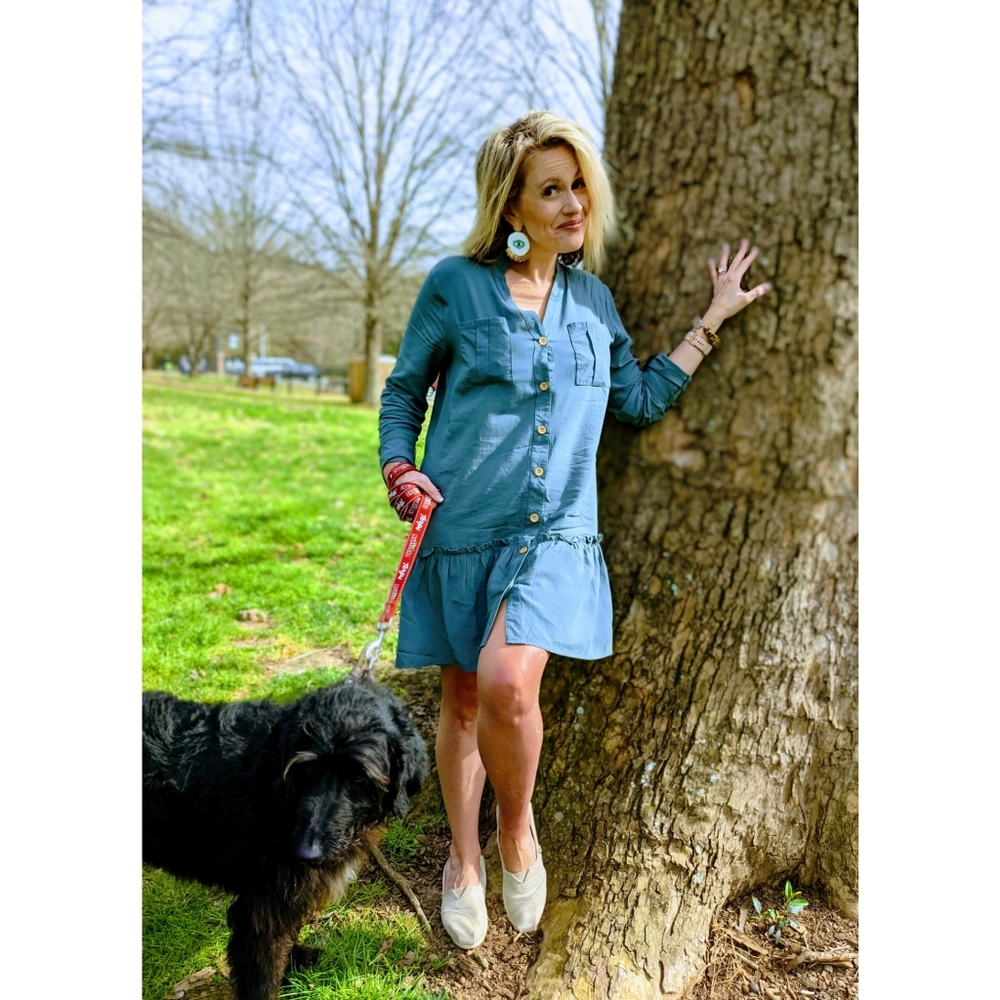 Drop Waist Dress (Color is like stock Photo)